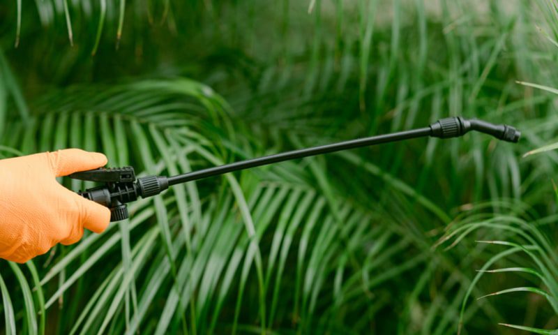 pest-control-17